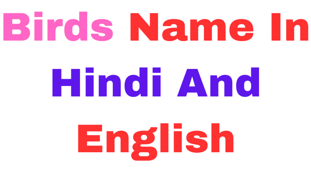 Birds Name In Hindi And English 100 Birds Name In Hindi And English पक्षियों के नाम हिंदी और अंग्रेजी में