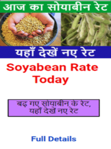 Soyabean Rate Today