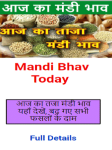 mandi bhav today