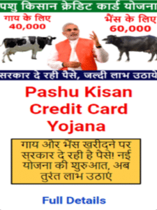 pashu kisan credit card yojana